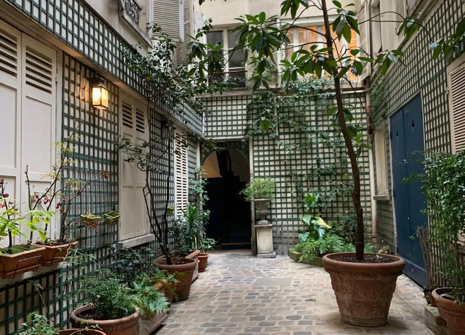Mignonne Paris